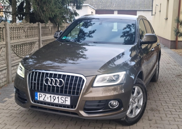 Audi Q5 cena 85900 przebieg: 120000, rok produkcji 2015 z Kostrzyn małe 326